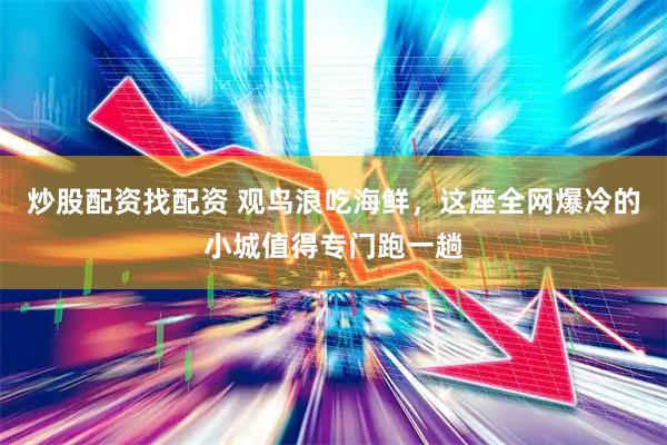 炒股配资找配资 观鸟浪吃海鲜，这座全网爆冷的小城值得专门跑一趟